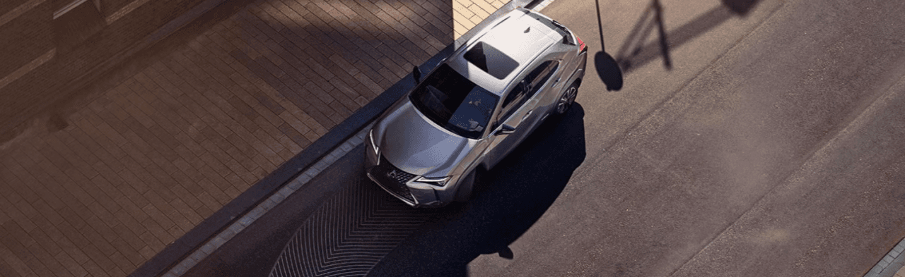 Can the 2026 Lexus UX 300h Fit Your Pet-Friendly Lifestyle?